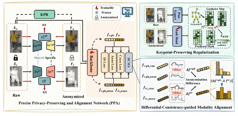 Towards Cross-Modal Preservation, Consistency and Alignment for Privacy-Preserving Visible-Infrared Person Re-Identification thumbnail